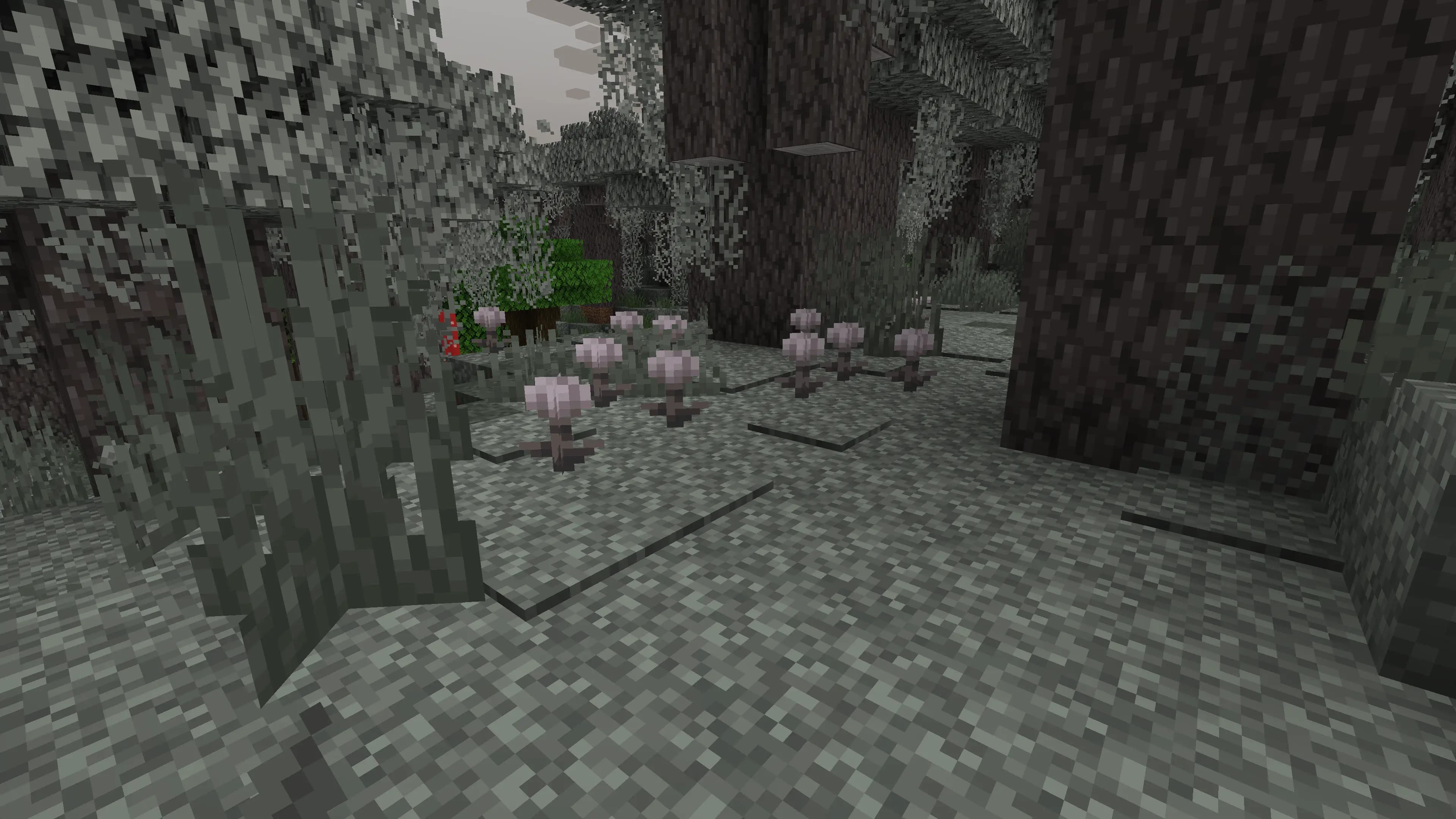 eyeblossom